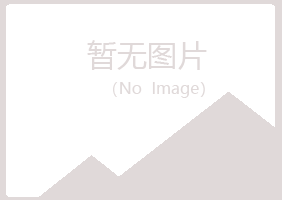 偃师傲蕾咨询有限公司